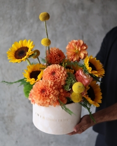 Arrangement Field breeze