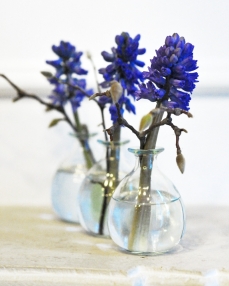 Flower arrangement for colleagues, with purple hyacinth – 3 pieces 