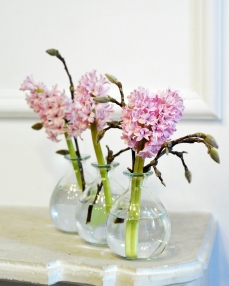 Flower arrangement for colleagues, with pink hyacinth – 3 pieces 