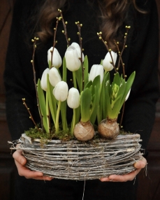 Arrangement Field with white tulips
