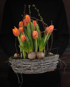 Arrangement Field of orange tulips 