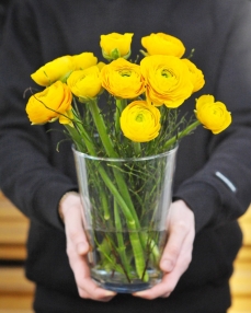 Flower arrangement with 11 yellow ranunculus in glass vase