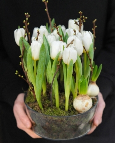 Flower arrangements with 15 pink tulips and hyacinth bulbs