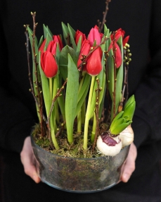 Flower arrangements with 15 red tulips and hyacinth bulbs