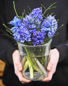 Flower arrangement with 7 purple hyacinth in glass vase