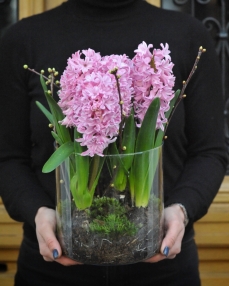 Spring blooms bulb hyacinth arrangement 