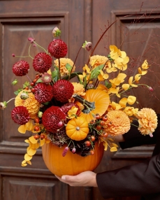 Arrangement Late autumn pumpkin