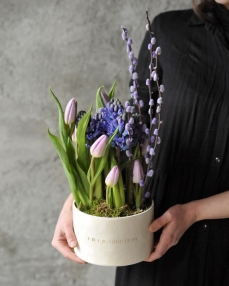 Aranjament Emoție lila