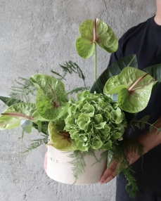 Arrangement Green petals