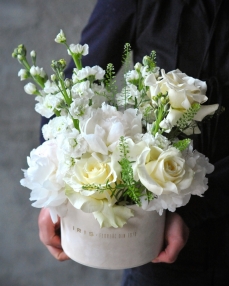Arrangement Story in white