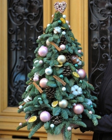 Christmas Tree Pink Story