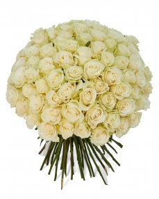 Bouquet 101 white roses