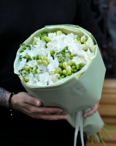 Buchet 25 frezii albe