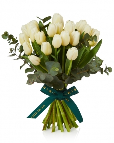 Bouquet 25 white tulips