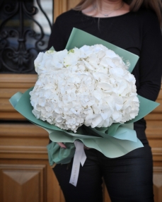 Buchet 5 hortensii albe