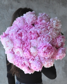 Buchet 51 bujori roz
