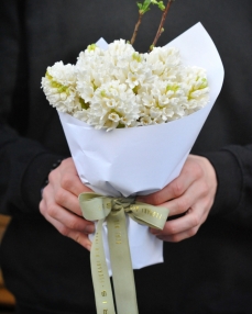Bouquet with 11 white Hyacinth flowers