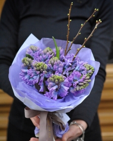 Bouquet with 11 Hyacinth flowers