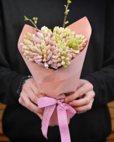 Bouquet with 11 pink Hyacinth flowers