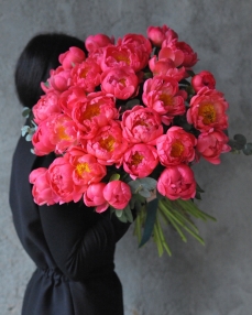 Bouquet with 51 coral peonies 