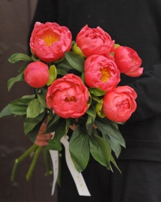 Flower bouquet with 7 coral peonies