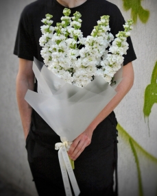 Bouquet of 9 white matthiola