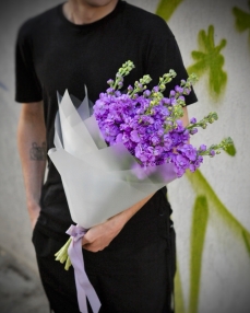 Bouquet of 9 purple matthiola 