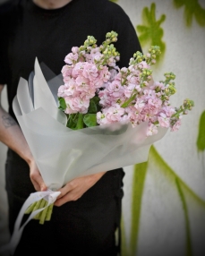 Bouquet with 9 pink matthiola 