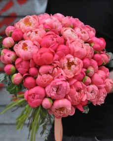 Bouquet 51 coral peonies