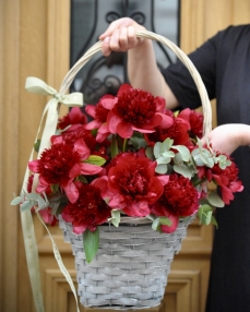 Basket with 25 red peonies 