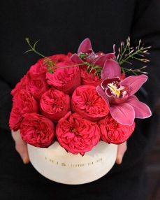 Box with 19 red garden roses