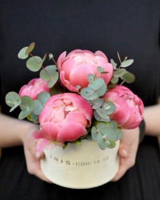 Box with 5 coral peonies 