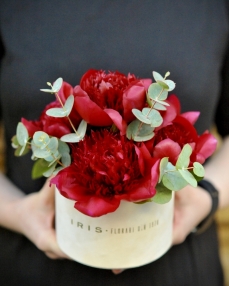 Box with 5 red peonies 