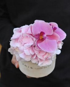 Cutie cu hortensie si orhidee roz