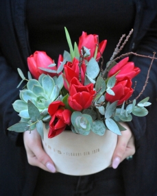 Flower box with Echeveria and 9 red tulips.