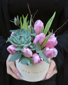 Box with Echeveria and 9 pink tulips