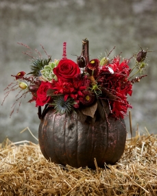Floral arrangement Illustrated with autumn flowers