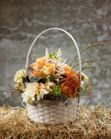 Autumn rhapsody