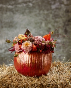 Aranjament floral Un dovleac