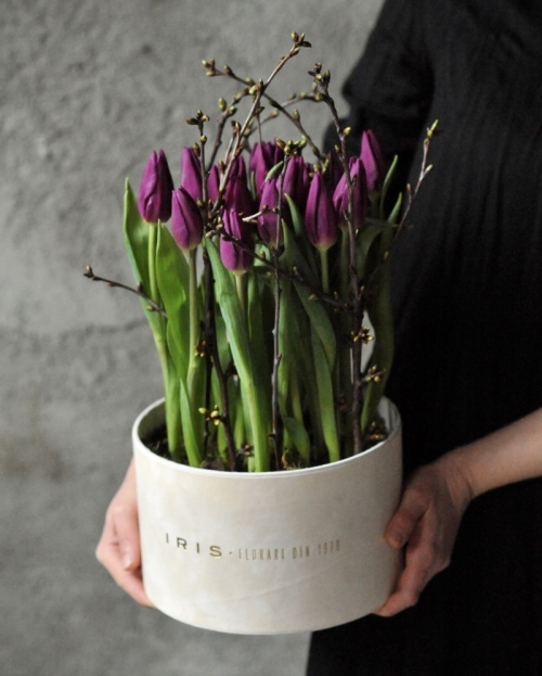 Aranjament 19 lalele mov