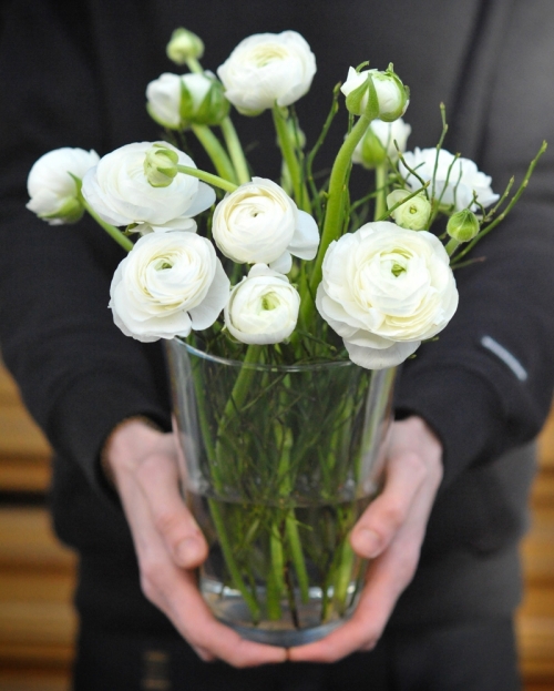 Flower arrangement with 11 white ranunculus in glass vase
