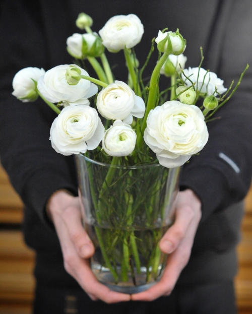 Flower arrangement with 11 white ranunculus in glass vase