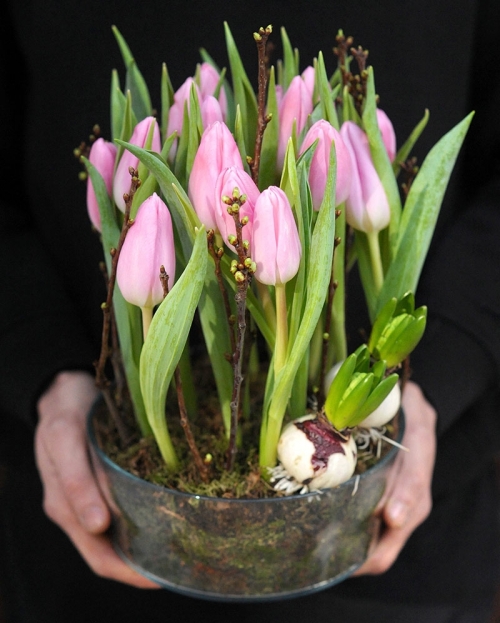 Flower arrangements with 15 pink tulips and hyacinth bulbs