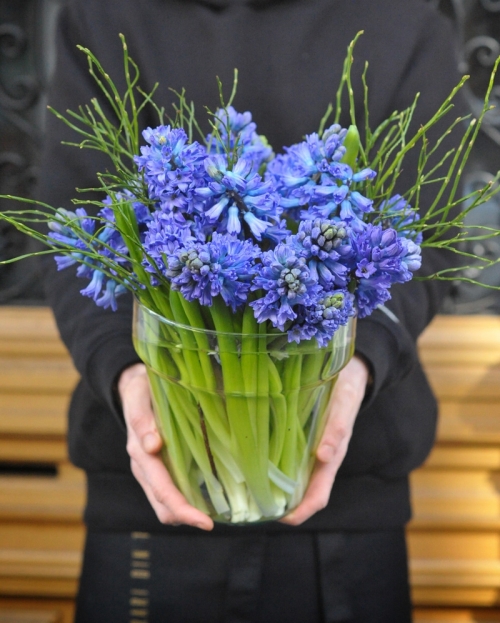 Flower arrangements with 21 hyacinth in glass vase 