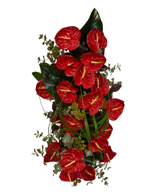 Aranjament funerar cu anthurium rosu 