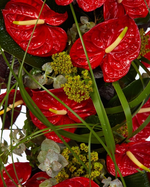 Funeral arrangement with red anthurium