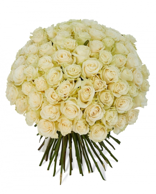 Bouquet 101 white roses