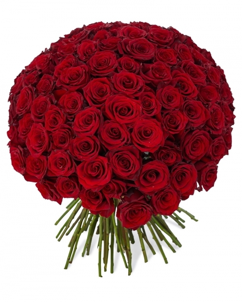 Bouquet 101 red roses