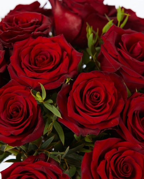 Bouquet 19 maxi red roses