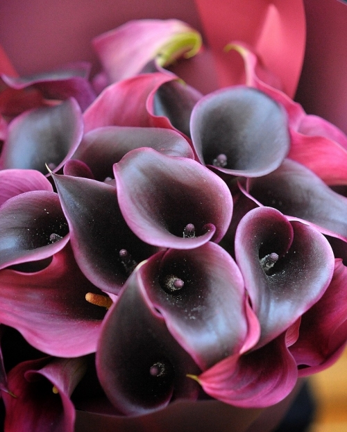  Buchet de flori regal cu 25 de cale